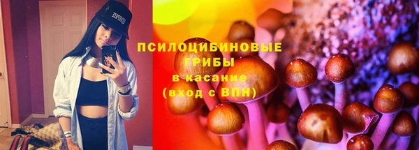 apvp Армянск