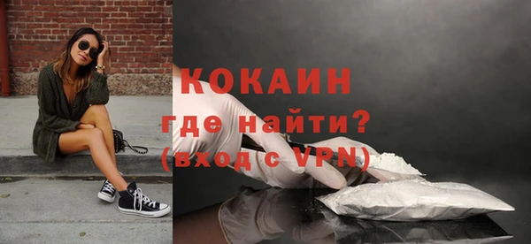 spice Аркадак