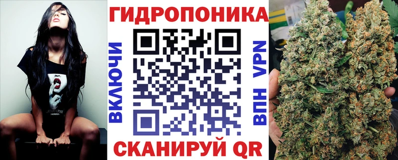 Конопля конопля  Новоаннинский 